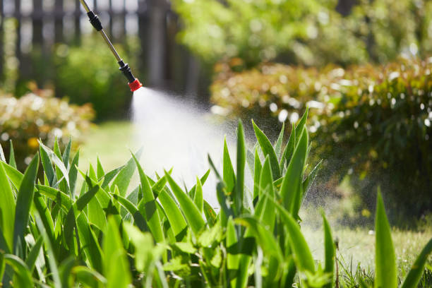 24/7 Emergency Fumigation Services experts in Bonsall, CA