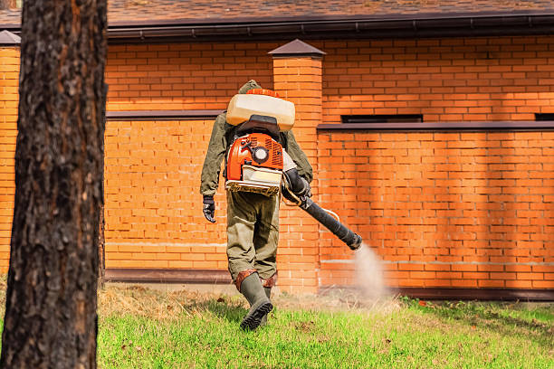 Top rated local Fumigation Services specialists in Bonsall, CA